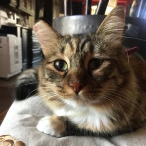 Meet your Posher, Jean